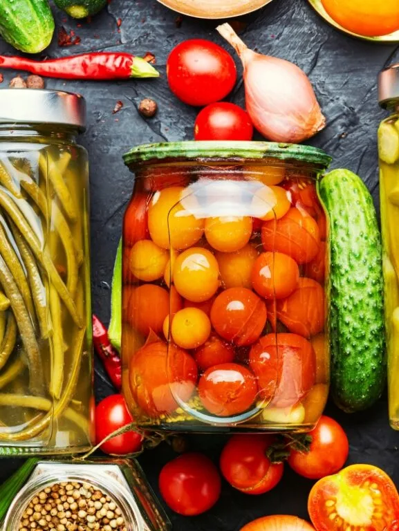 Fermentados Caseiros Saúde Intestinal E Imunidade