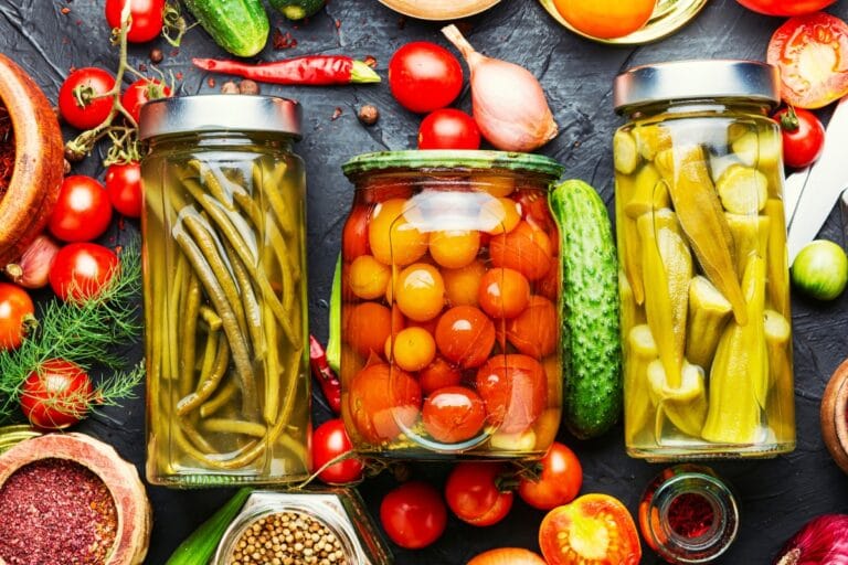 Fermentados Caseiros Saúde Intestinal E Imunidade