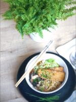 RAMEN VEGANO COM TEMPEH