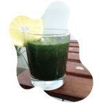 Workshop Refeições de Praia e Campo